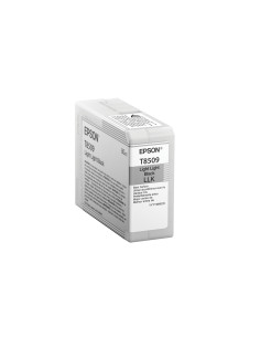 Epson Singlepack Light Light Black T850900