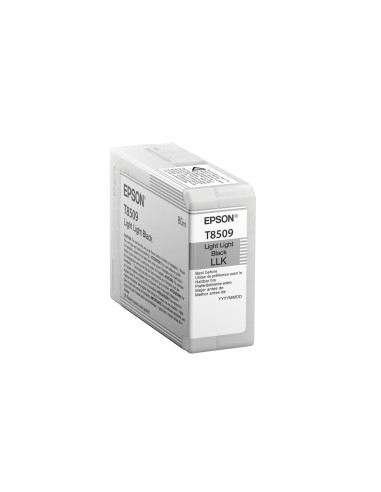 Epson Singlepack Light Light Black T850900