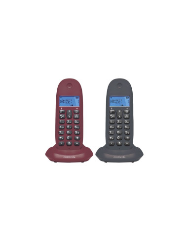 Motorola C1002 teléfono Teléfono DECT Identificador de llamadas Gris