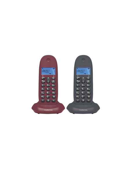 Motorola C1002 teléfono Teléfono DECT Identificador de llamadas Gris
