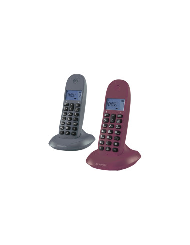 Motorola C1002 teléfono Teléfono DECT Identificador de llamadas Gris