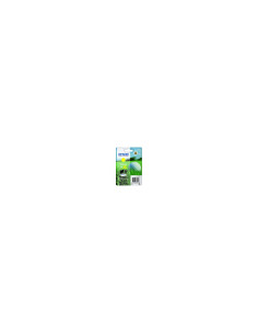 Epson Golf ball Singlepack Yellow 34XL DURABrite Ultra Ink