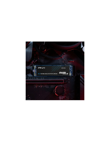 PNY Disco SSD M.2 20003 GB PCI Express 3.0 3D NAND NVMe
