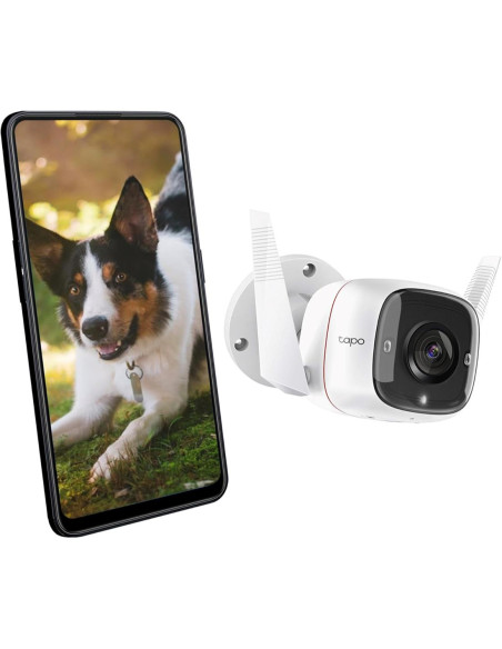 Tp-Link Tapo TC65 Cámara de Vigilancia Exterior IP66, 2K, 3MP, Visión nocturna, WiFi, Alarma