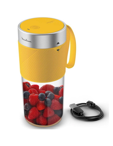 Moulinex Lightmix LM1C0210 licuadora 0,3 L Batidora de vaso portátil