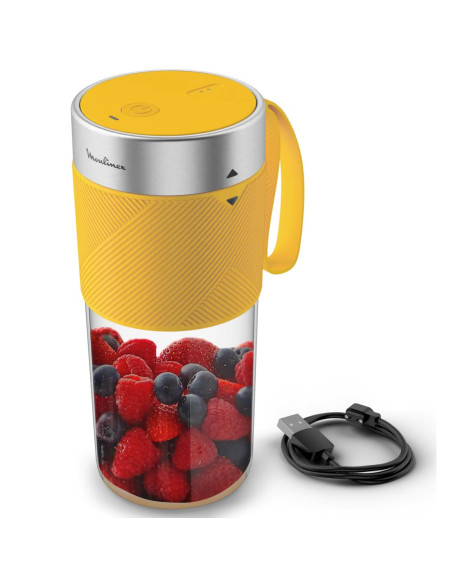 Moulinex Lightmix LM1C0210 licuadora 0,3 L Batidora de vaso portátil