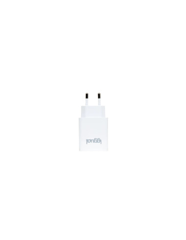 iggual Cargador de pared 1xUSB 5V/2.4A (12W)