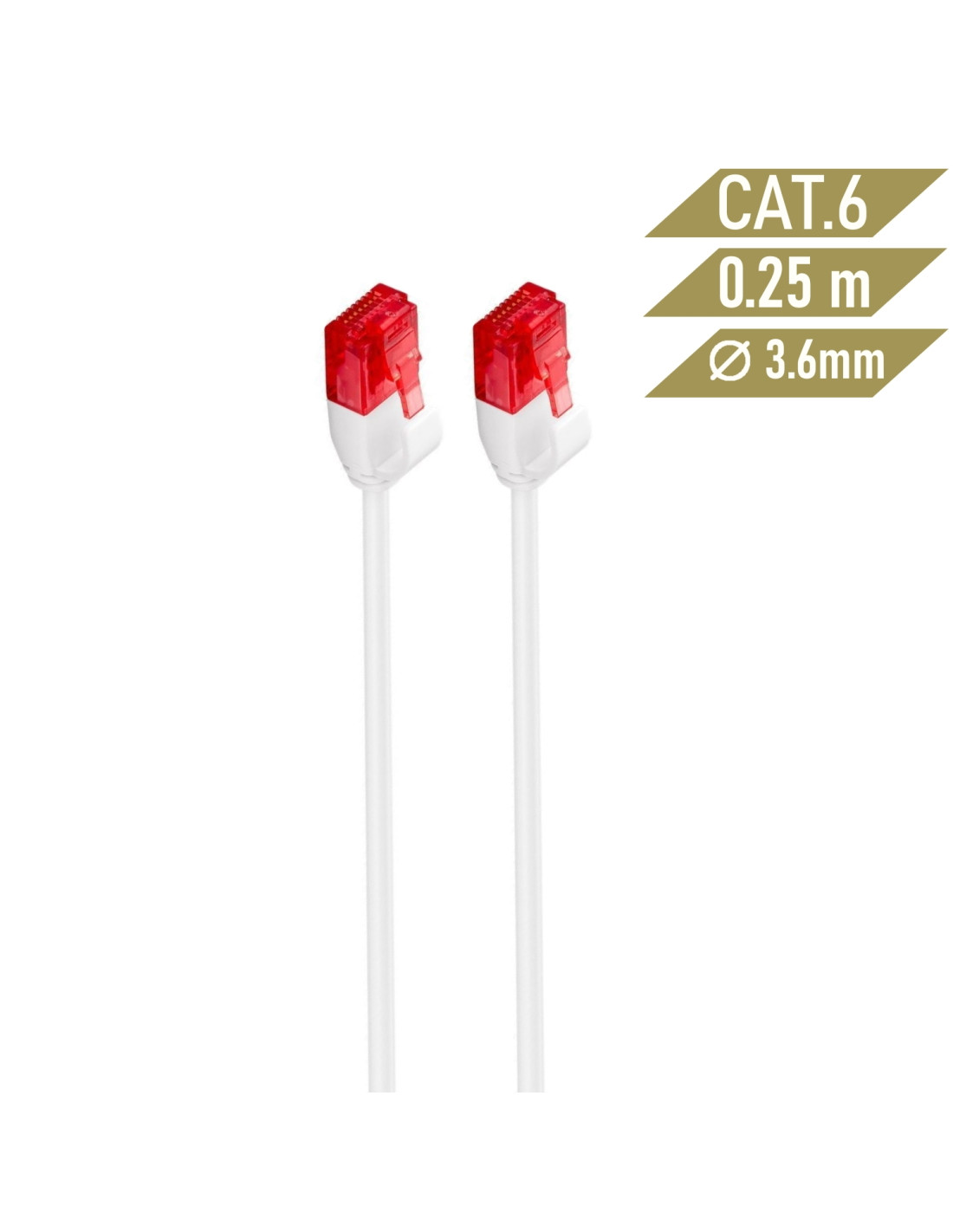 Ewent IM1035 Latiguillo de red rj45 Cat6 U/UTP 0.25m blanco